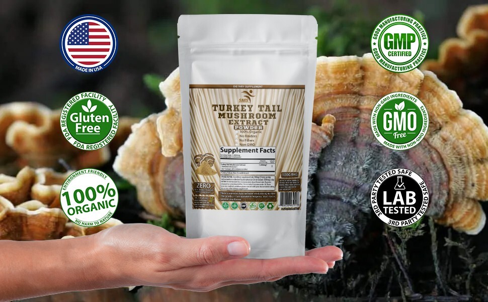 Turkey Tail Mushroom Extract Powder 100G 50% Polysaccharides Organic Non GMO