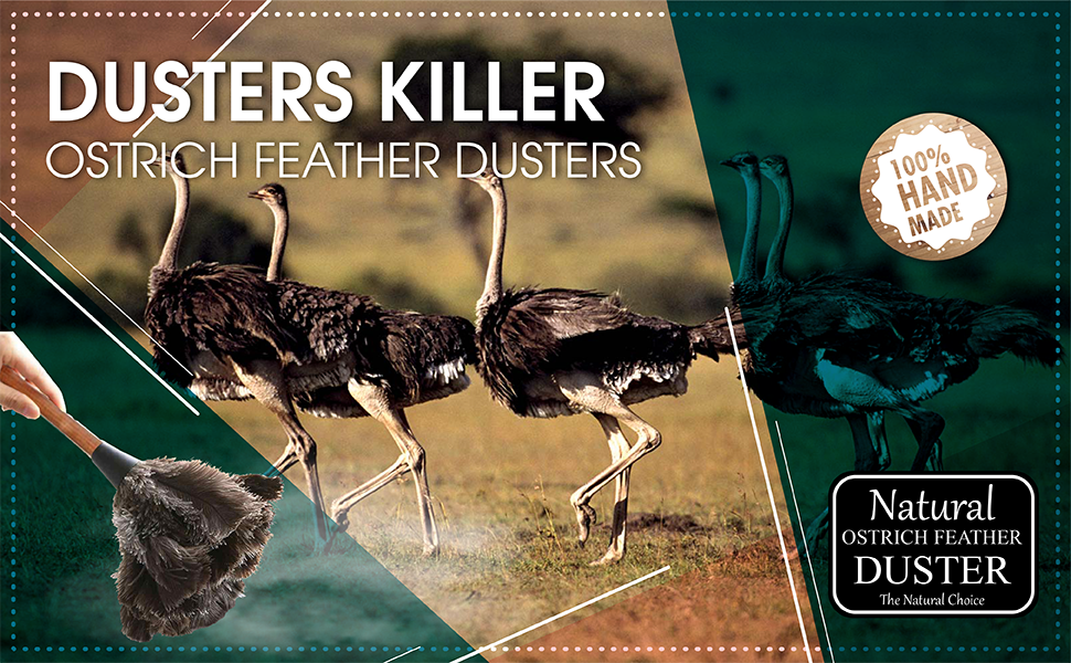 Retractable Ostrich Feather Duster 12" to 16"
