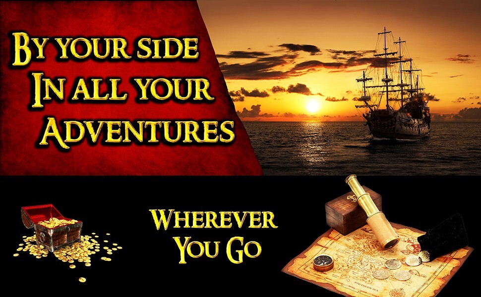 Viking Drinking Horn Shot Glasses Ale Beer Vodka Whiskey Drinkware Set of 4