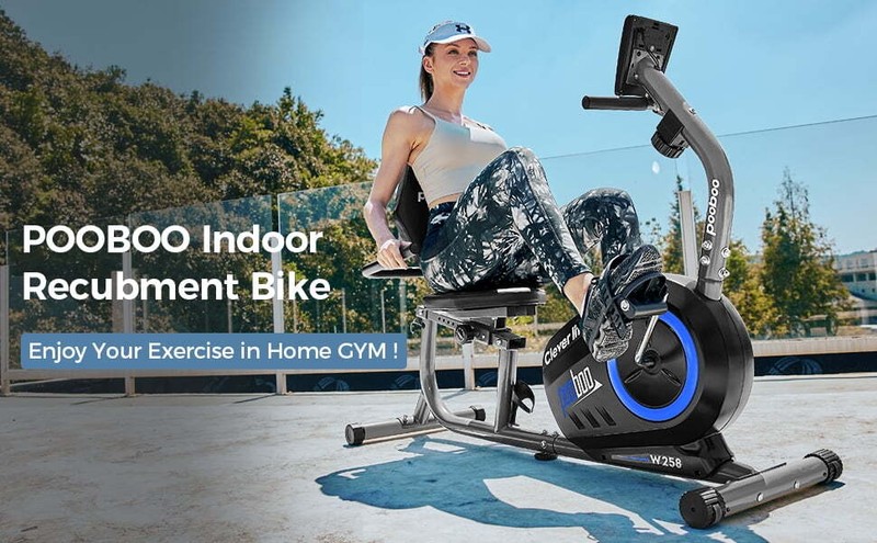 Recumbent Exercise Bikes Sit down Stationary Bicycle Magnetic Resistance Indoor