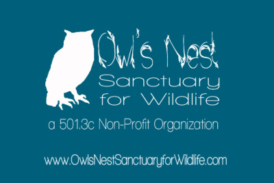 Owl's Nest Sanctuary for Wildlife