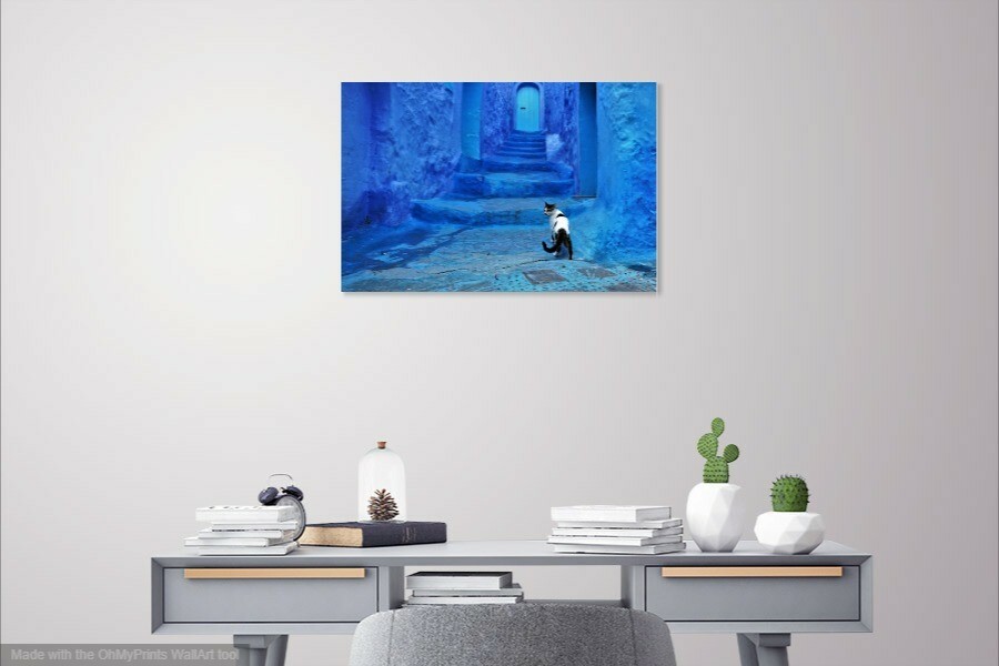 Moroccan Cat Poster Print - from Africa - Travel Pets Art FAST FREE SHIPPING 5