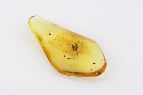 1963 AMBER SPRAY Can For PARKING LITE LENS / Chevy Chevrolet