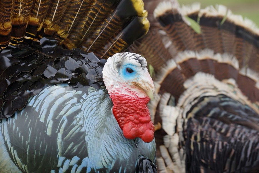 Cherokee Sports Billy Bad Act 2 Inflatable Turkey Decoy