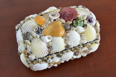 Коллекционирование ракушек. В коробках было 48 ракушек. В коробках было 48 ракушек. Природный материал ракушки. Шкатулка в морском стиле.
