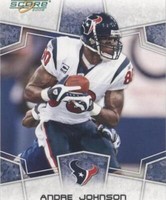 2008 Score Andre Johnson #119