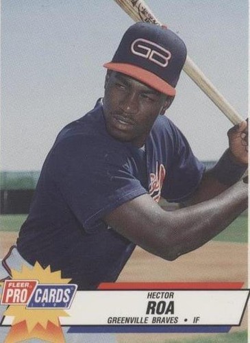 1993 Fleer ProCards Minor League - Hector Roa #359