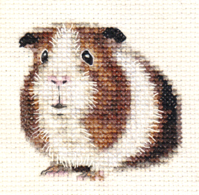 Complete guinea cheap pig kit