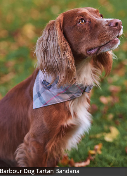 Barbour Tartan Dog Bandana in Pink Taupe Tartan MSRP 38 Great Christmas Gift