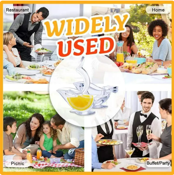 Manual Lemon Squeezer