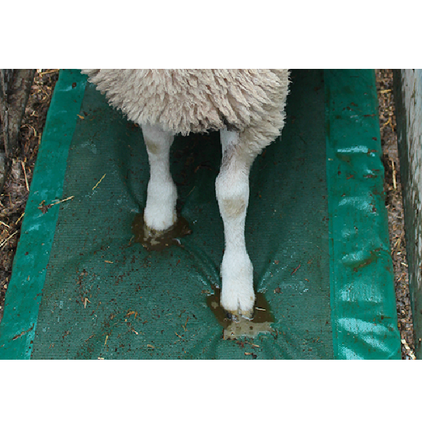 Sheep Footbath for sale in UK 18 used Sheep Footbaths