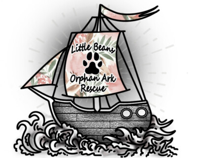 Little Beans Orphan Ark Rescue, Corp