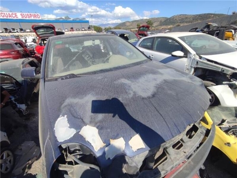 Capot Pour Volkswagen Polo Iv (9n1)(11.2001-&Gt;) 2001 219306