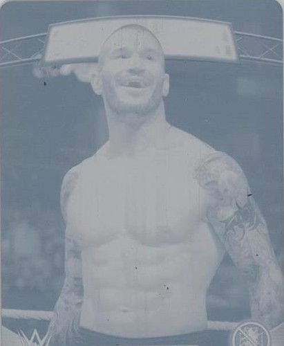 2016 Topps WWE - Randy Orton #14AA