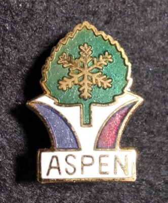 Aspen Colorado Pin Vtg 1980s Snow Ski Snowflake MSSI