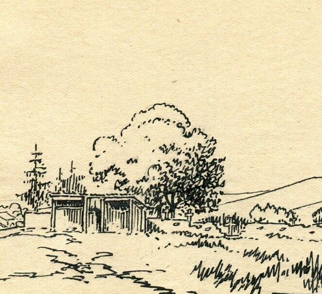 Picture 4
