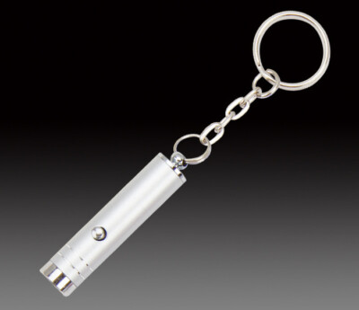 Super Bright Mini LED Camping Banknote Detector Portable Keychain UV Flashlight