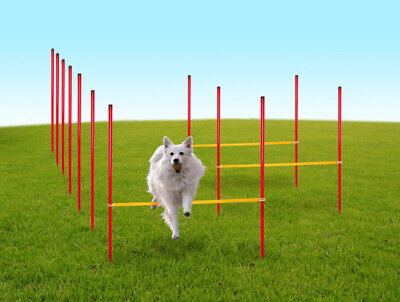 Hunde Agility Set Training Hundesport Hürden Slalom Stangen Rot Gelb LAS001