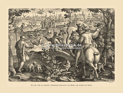 Falkenjagd Beizjagd Jagdfalken Reiher Falkner Kupferstich Stradanus A3 43