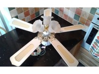 Fantasia Fan Stuff For Sale Gumtree