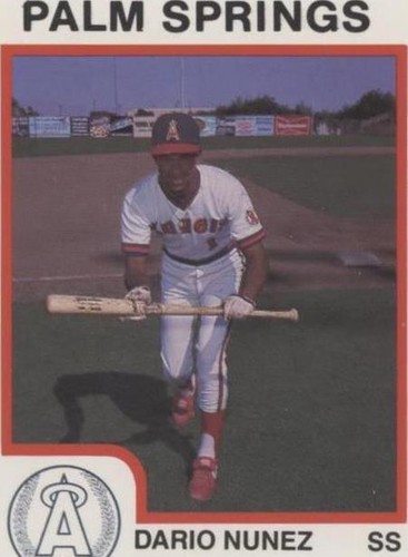 1987 ProCards Minor League - Dario Nunez #312