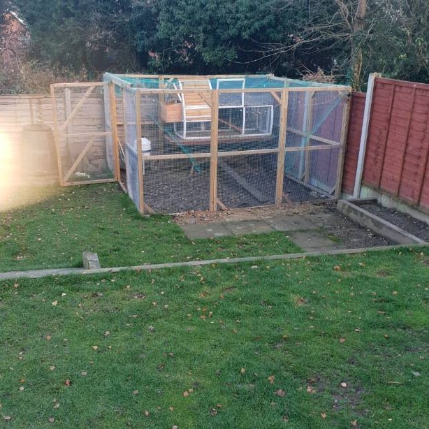 Chicken Coop And Run In Ripley Derbyshire Gumtree