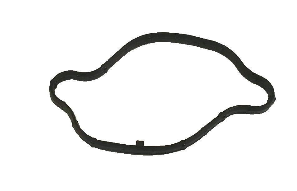 2014-2018 Kia K900 5.0L High Pressure Fuel Pump Gasket Kia OEM New