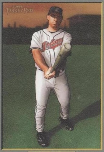 2006 Topps Turkey Red - Travis Hafner #445