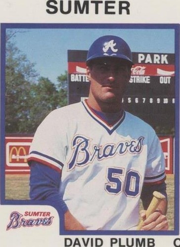1987 ProCards Minor League - Dave Plumb #1361