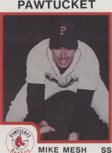 1987 ProCards Minor League - Mike Mesh #68