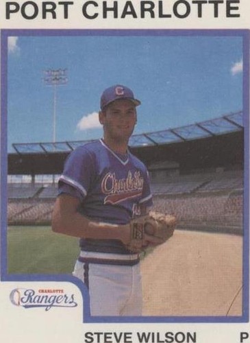 1987 ProCards Minor League - Steve Wilson #2043