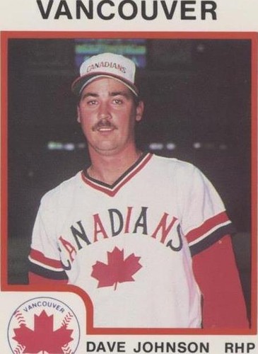 1987 ProCards Minor League - Dave Johnson #1606