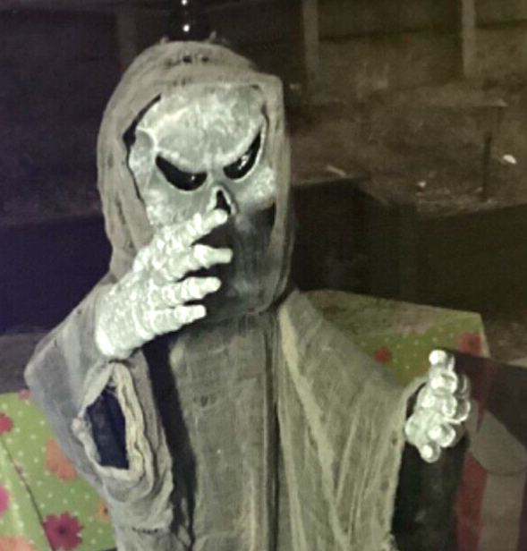 Tekky Toys GRIM REAPER Halloween Scary Flying Monsters READ