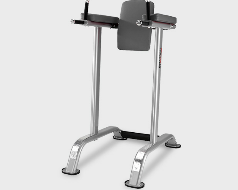Profi BH RST Beinheber L800 Bauch Dips Trizeps Fitness Studio Gym