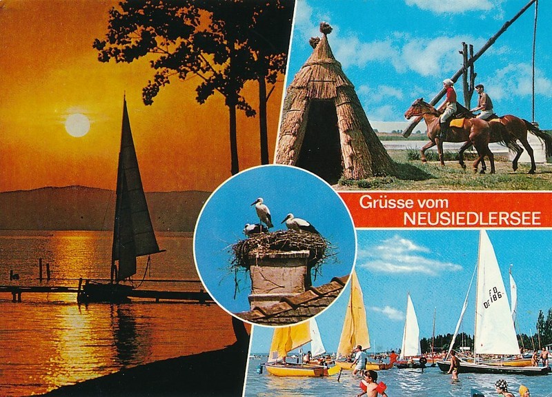 Alte Ak Neusiedlersee - Vier Ansichten 1983 Gelaufen Ansichtskarte C1085g