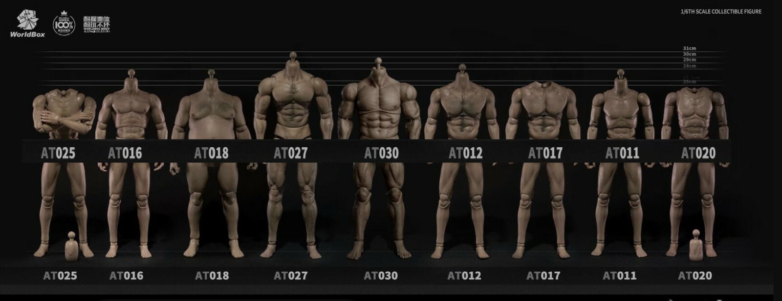 WORLDBOX 1/6 Scale Male Body Figure Model Hot Toys PHICEN WORLDBOX 1/6 Scale Male Body Figure Model Hot Toys PHICEN