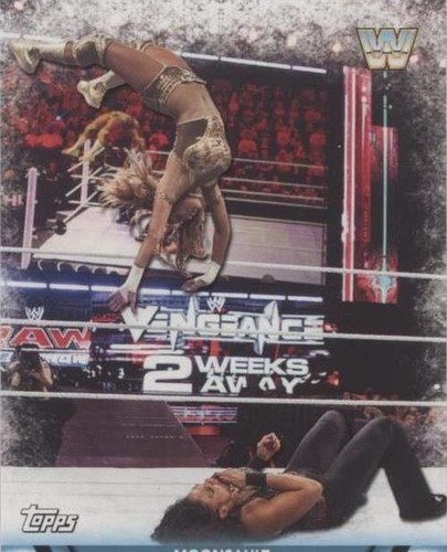 2017 Topps WWE Women's Division - Eve Torres #F-11