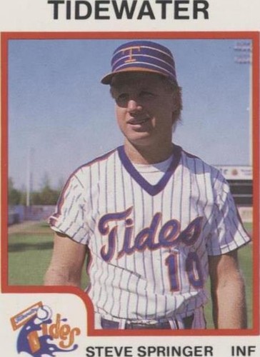1987 ProCards Minor League - Steve Springer #2482