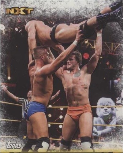 2017 Topps WWE Then Now Forever - Tm-61 #F-48