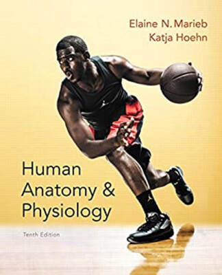 Human Anatomy and Physiology Hardcover Elaine N., Hoehn, Katja Ma