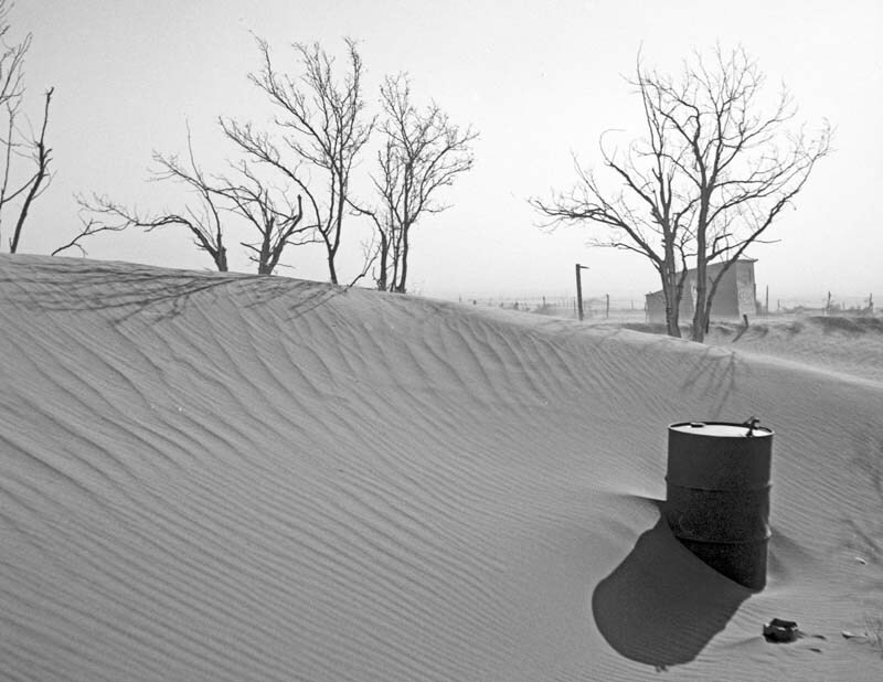 1936 Dust Bowl Dunes, Cimarron County, Oklahoma Old Photo 8.5