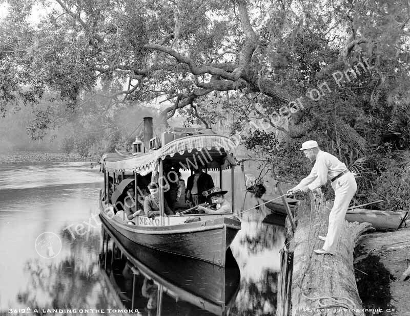 1880-1897 On the Tomoka River, Florida Vintage/ Old Photo 8.5" x 11" Reprint