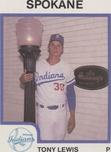 1987 ProCards Minor League - Tony Lewis #2682