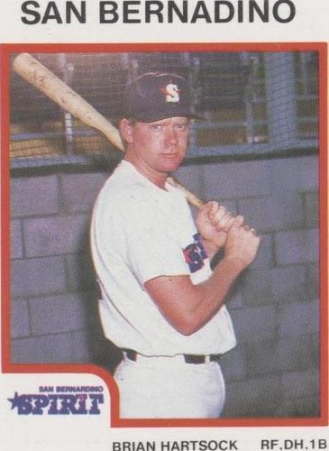 1987 ProCards Minor League - Brian Hartsock #2371