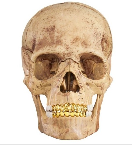 $_12.JPG?set_id=880000500F