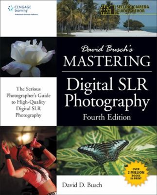 David Busch's Mastering Digital SLR Photography Paperback David D