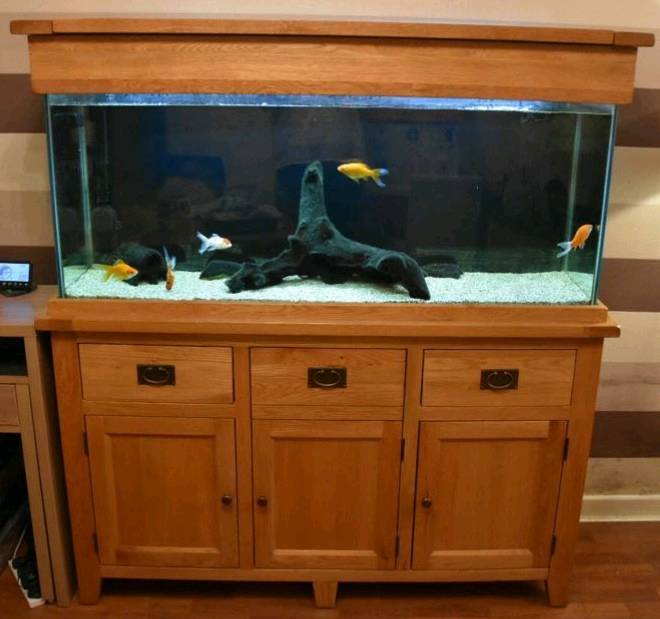 Solid Oak Cabinet And Lid With 300 Litre Fish Tank Full Set Up In