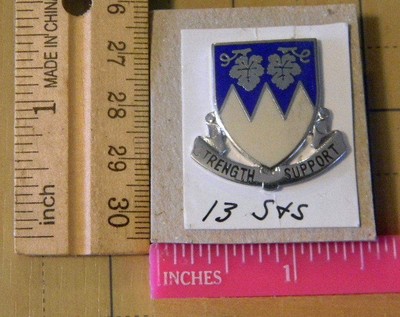Army 13th S&S Bn Crest insignia pin 