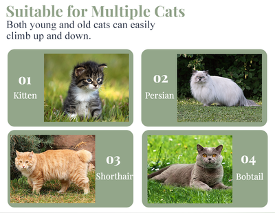 BestPet 54in Cat Tree Tower with Cat Scratching Posts Stand House Cat Condo