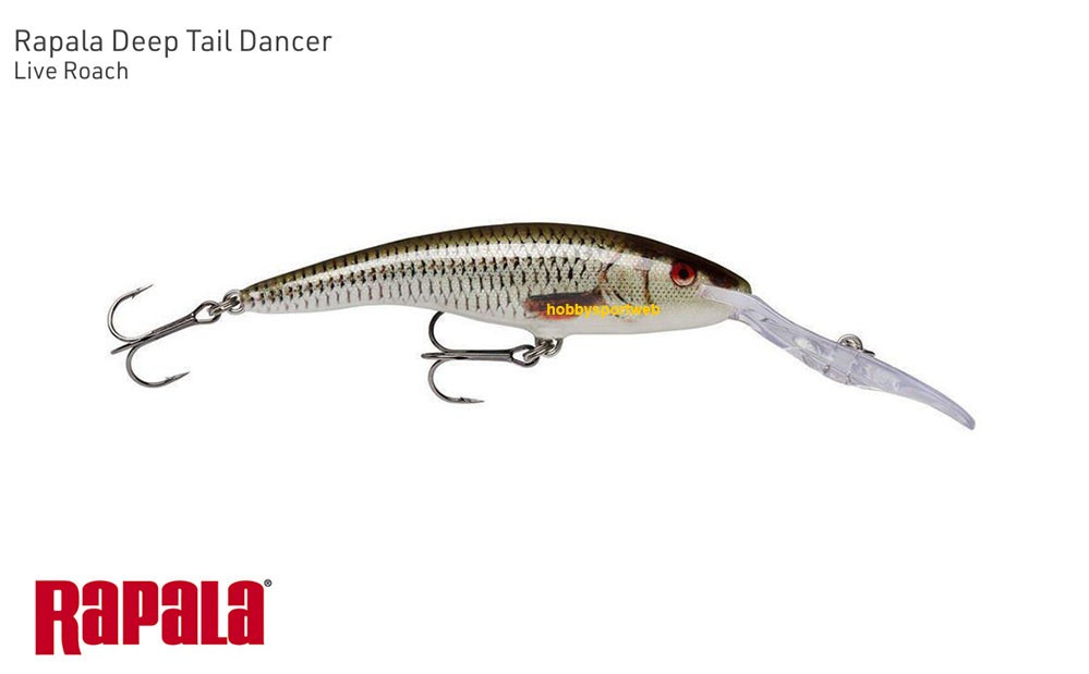 RAPALA TDD 11 DEEP TAIL DANCER  COLORE ROL LIVE ROACH 22 GR  SPINNING LUCCIO